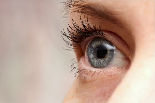 Ojo vago o perezoso ¿Qué es la ambliopía? Refuerza tu salud visual