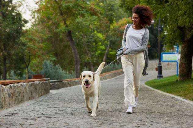 ¡5 consejos para mantenerte en forma en compañía de tu perro o mascota!